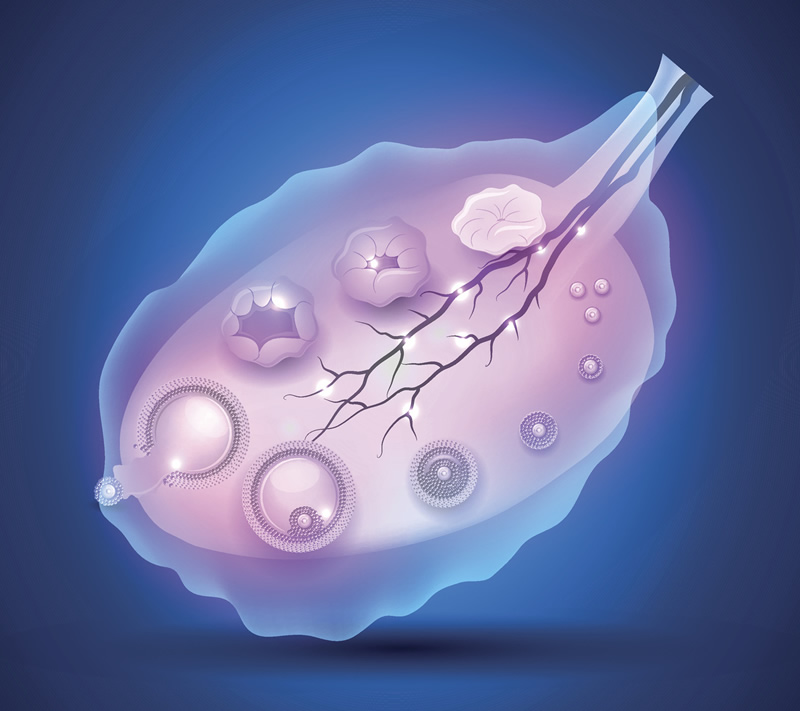 哈尔滨试管精子崭新医院排行榜分享_特殊生育需求如何满足？从医院选择、流程解析到提升的全方位指南